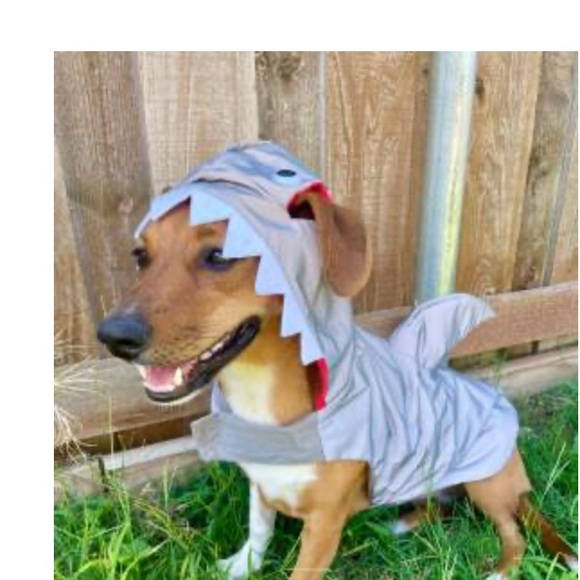 NEW Reflective Shark Hoodie Dog and Cat Costume - Hyde & EEK! Boutique medium - Picture 9 of 13